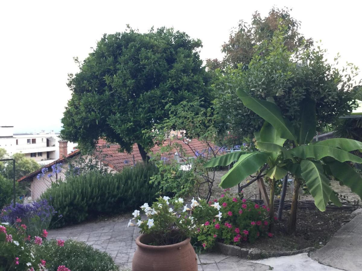 Bed and Breakfast Les Palmiers Grasse Exteriér fotografie